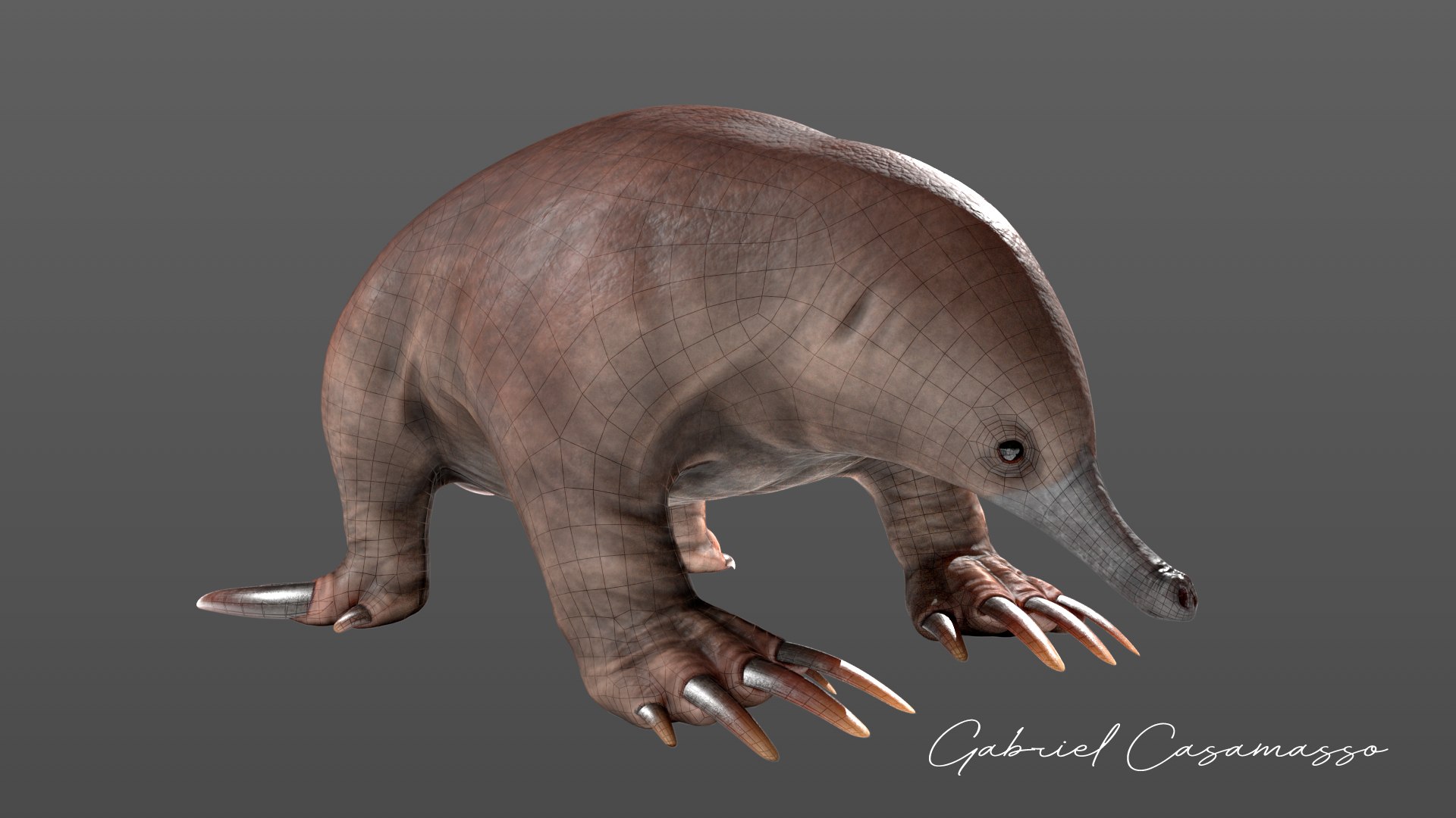 3D tachyglossus aculeatus echidna animate https://p.turbosquid.com/ts-thumb/ro/3yTkdF/2Lp9a1Ci/renderfurlesswireframepseudo/png/1562345486/1920x1080/fit_q87/398edd76bc442d7c1c319c1bf5d5977847ae9043/renderfurlesswireframepseudo.jpg