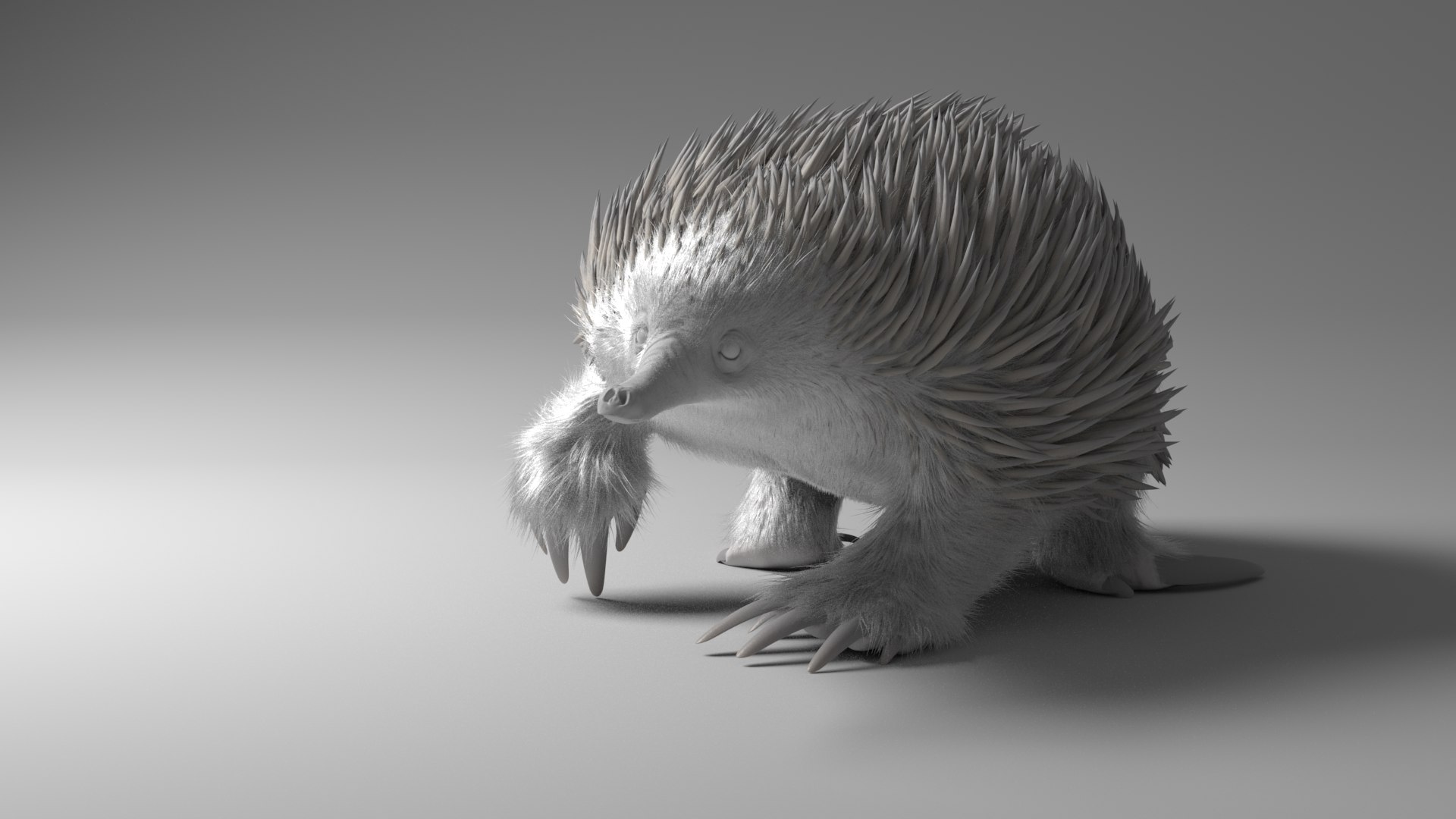 3D tachyglossus aculeatus echidna animate https://p.turbosquid.com/ts-thumb/ro/3yTkdF/POXQZkwf/groom1/png/1563635109/1920x1080/fit_q87/2490bcc51eabf74fc89ce475649dfd05b8ddc7d9/groom1.jpg