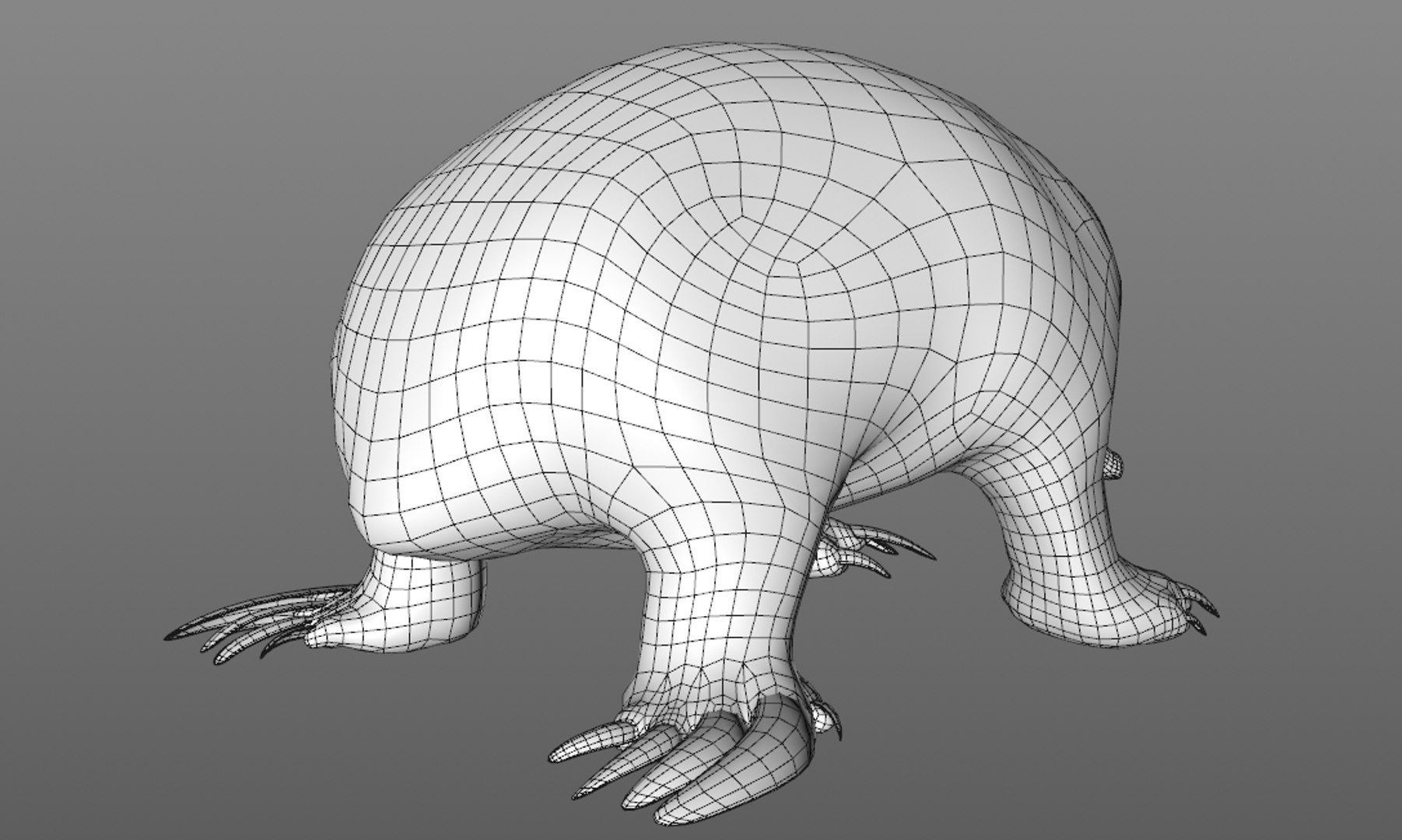 3D tachyglossus aculeatus echidna animate https://p.turbosquid.com/ts-thumb/ro/3yTkdF/qxVvO5rm/wire2/png/1563683480/1920x1080/fit_q87/aaad52c24d31572bf54534498b4af626a3027fb8/wire2.jpg