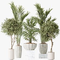 AV Indoor plants set 167 Artificial Olivo Olea Tree and Areca Majesty Cat Reed Palm and Lutescens Ar