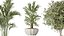 AV Indoor plants set 167 Artificial Olivo Olea Tree and Areca Majesty Cat Reed Palm and Lutescens Ar