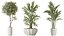 AV Indoor plants set 167 Artificial Olivo Olea Tree and Areca Majesty Cat Reed Palm and Lutescens Ar