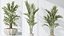 AV Indoor plants set 167 Artificial Olivo Olea Tree and Areca Majesty Cat Reed Palm and Lutescens Ar