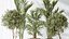 AV Indoor plants set 167 Artificial Olivo Olea Tree and Areca Majesty Cat Reed Palm and Lutescens Ar
