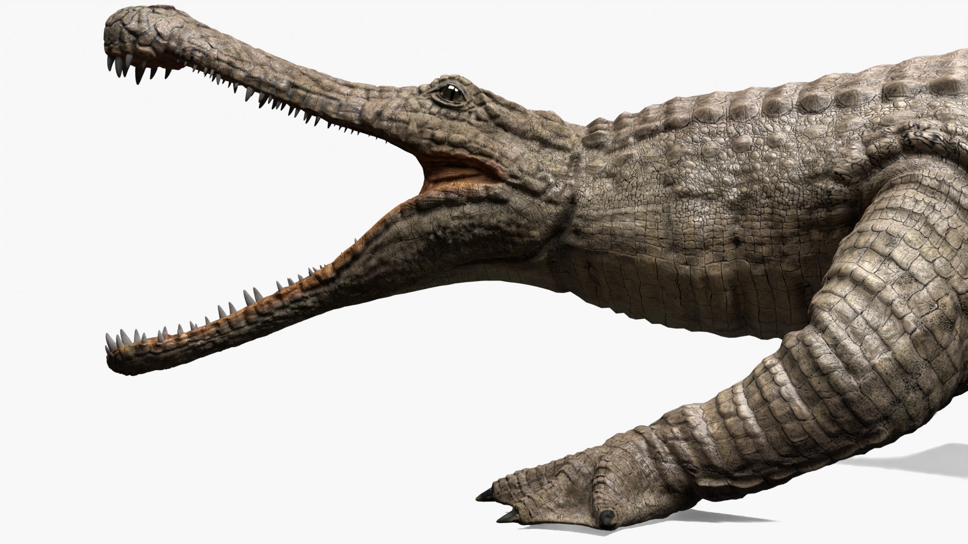 Sarcosuchus 3d Turbosquid 1918351 