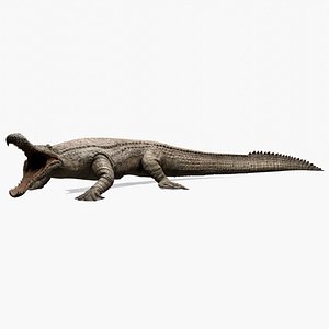 Sarcosuchus 3D