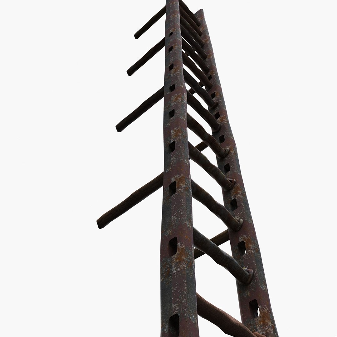 Metal Ladder Old 3d Model