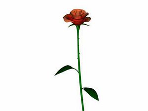 Rose.max
