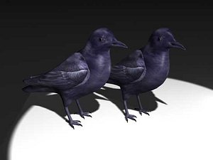 max crow
