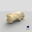 Pavian Monkey Male Calcaneus Bone 01
