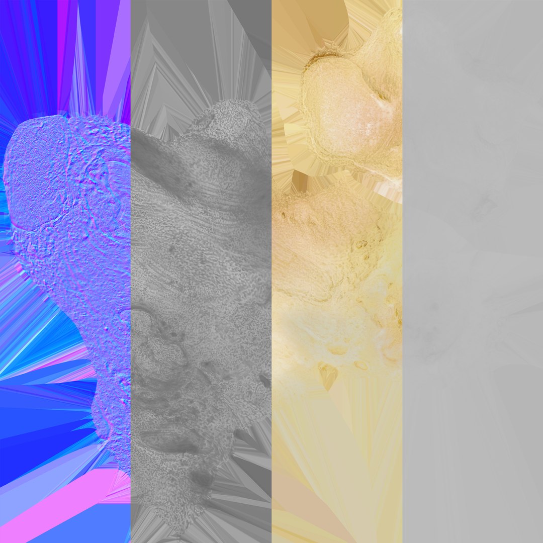 Pavian Monkey Male Calcaneus Bone 01 3D model https://p.turbosquid.com/ts-thumb/ro/hP8l1C/eA/pavian_monkey_male_calcaneus_bone_01_textures/jpg/1684423313/1920x1080/fit_q87/53612d5adc537d87c93de31dde46730cfa07245a/pavian_monkey_male_calcaneus_bone_01_textures.jpg