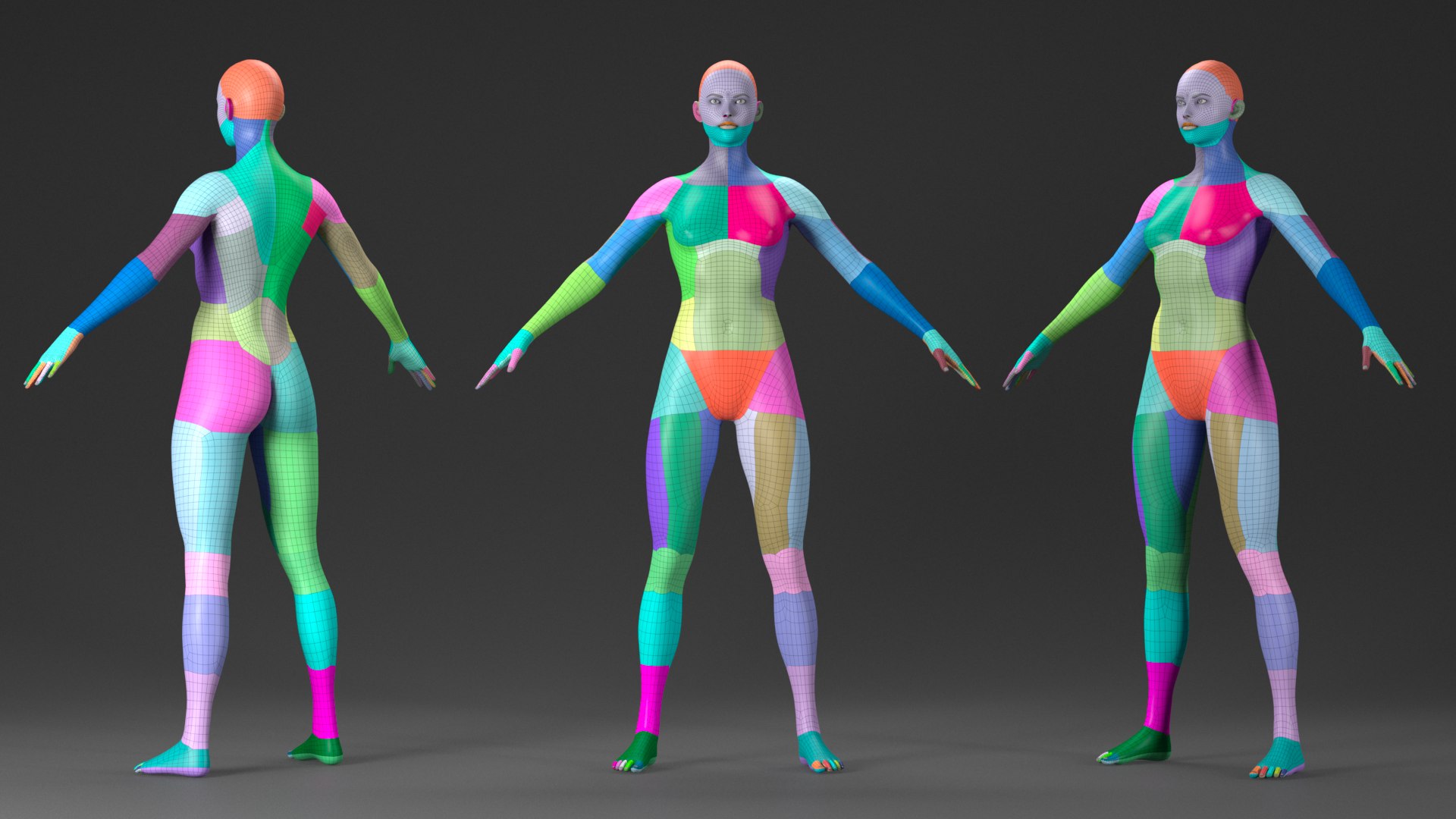 Basemesh Female Shape Model - TurboSquid 1923104