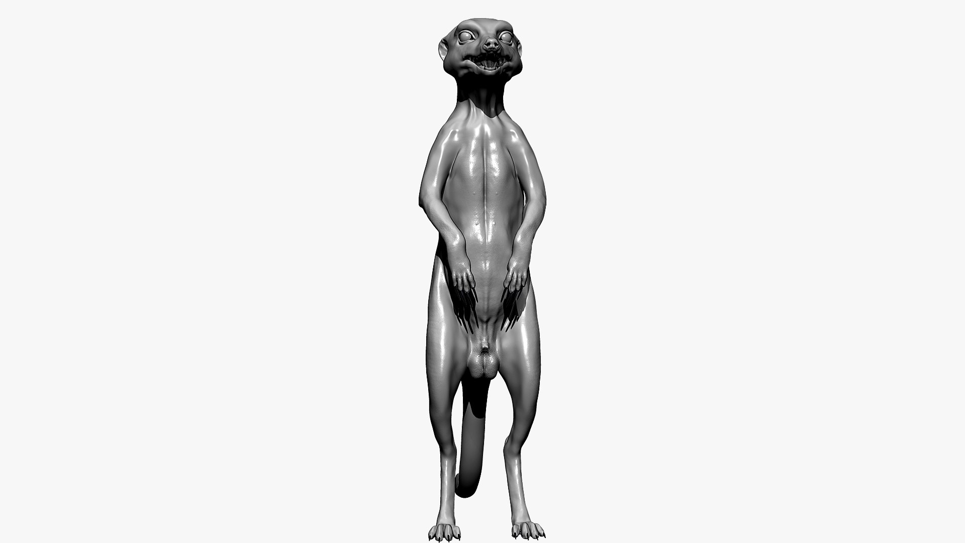 Meerkat Realistic 3D - TurboSquid 1516918