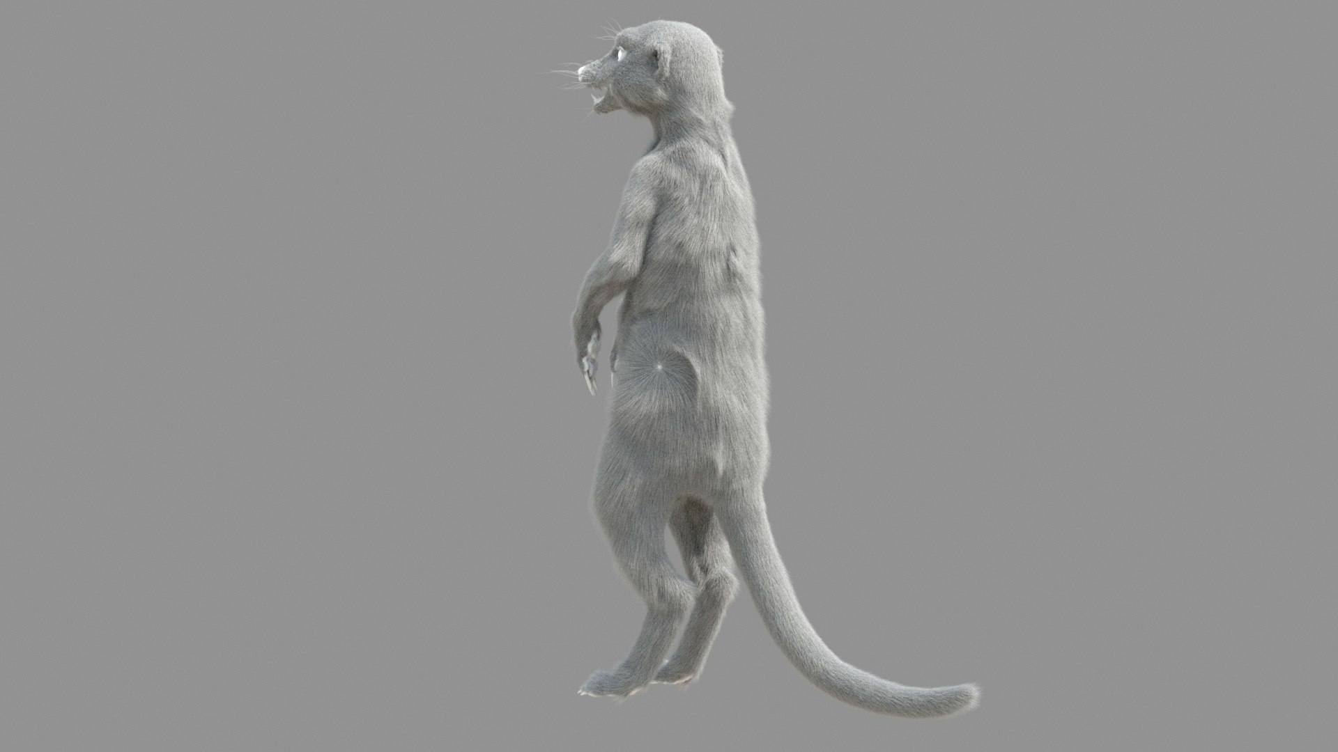 Meerkat Realistic 3D - TurboSquid 1516918