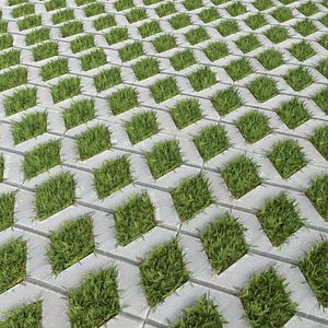 Grasses and paving slabs