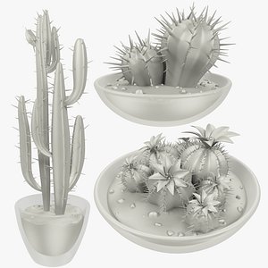 Cactuses in Pots Collection V1