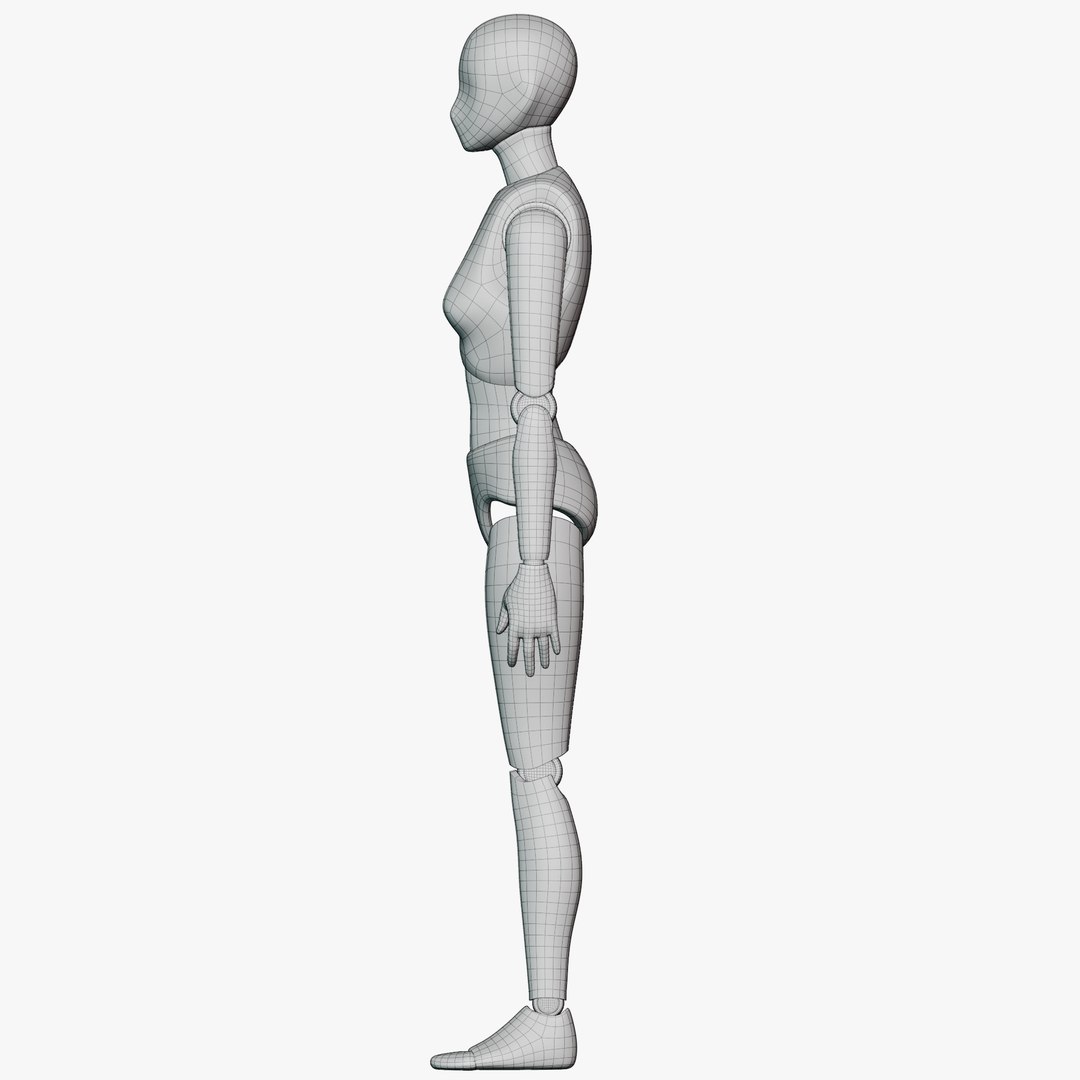 Female Articulated Action Figure model https://p.turbosquid.com/ts-thumb/rp/Vy0mQj/8Y/wireactionfigurefem3603/png/1775898724/1920x1080/fit_q87/529edab1b1a229a1a0153a80d6306785605b69bc/wireactionfigurefem3603.jpg