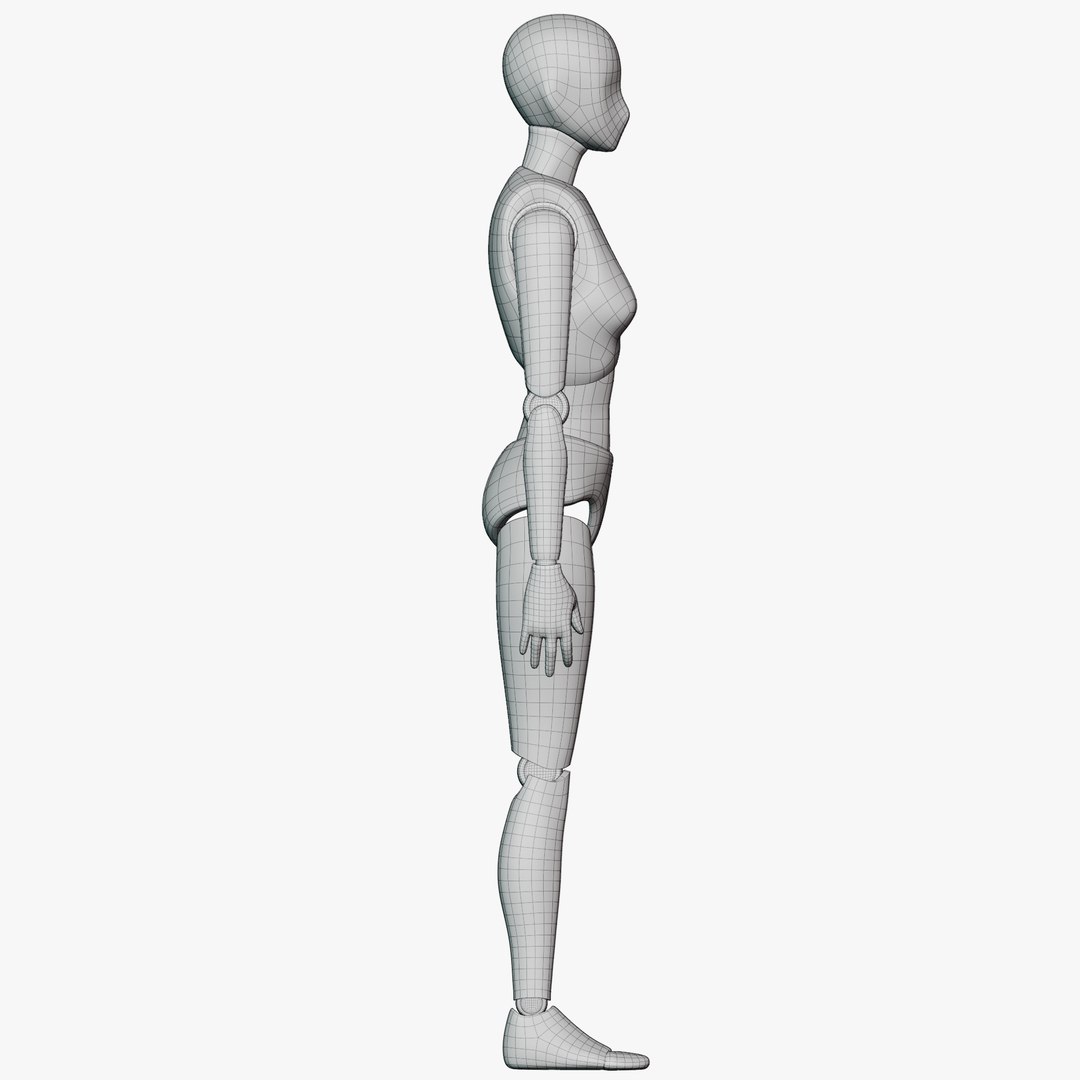 Female Articulated Action Figure model https://p.turbosquid.com/ts-thumb/rp/Vy0mQj/yx/wireactionfigurefem3607/png/1775898726/1920x1080/fit_q87/2dd62d16cf3fc1e3d2fbe4f4ad0e73981cb55fc0/wireactionfigurefem3607.jpg