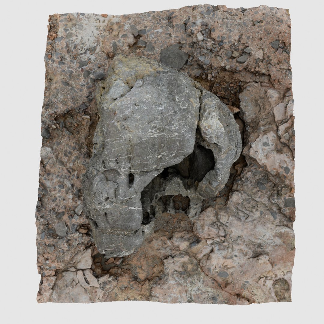 3D scan rock beach https://p.turbosquid.com/ts-thumb/rp/cqcvT8/rppTumI7/beachrock3dscan8/png/1591875373/1920x1080/fit_q87/2aea5d887bc6eca8e418df35c6f3735665dfcfbd/beachrock3dscan8.jpg