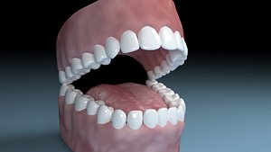 teeth tongue mouth interior 3D