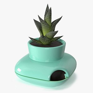 Stoneware Single Herb Pot Green