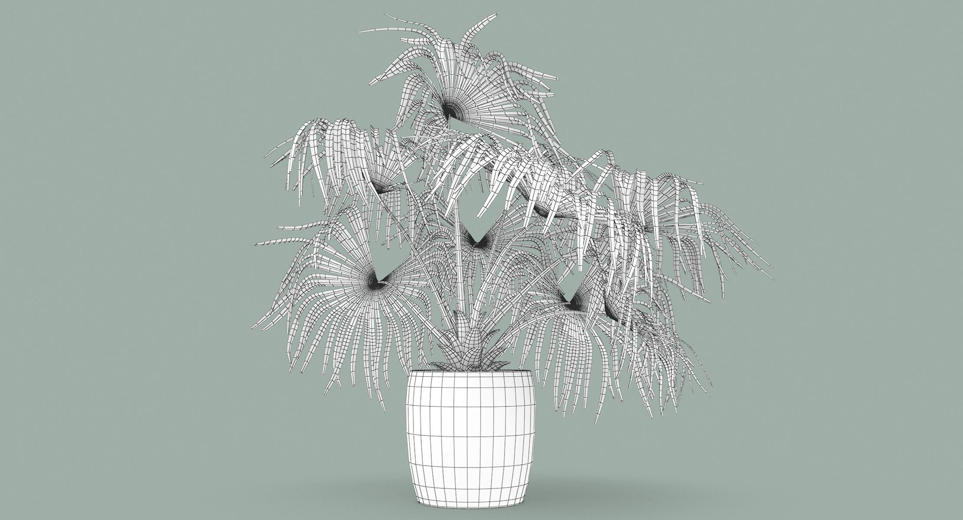 3D chinese fan palm model https://p.turbosquid.com/ts-thumb/rp/pFLwMD/F9RCOBwx/chinese_fan_palm_093_wireframe/jpg/1527258778/1920x1080/fit_q87/60c08554147245f82a6029e744f9f68020e8de00/chinese_fan_palm_093_wireframe.jpg