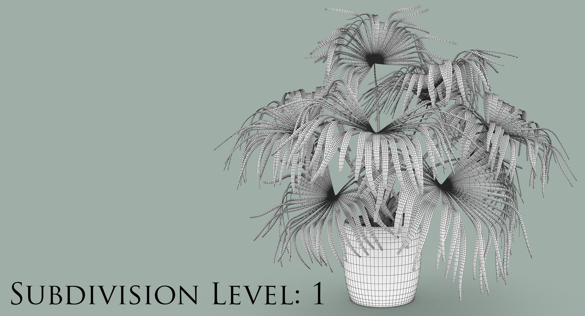 3D chinese fan palm model https://p.turbosquid.com/ts-thumb/rp/pFLwMD/sMgv8eQJ/chinese_fan_palm_201_subd_1/jpg/1527258778/1920x1080/fit_q87/aca7f7266a5bc1c0e5e0823ffb090ee428f097f1/chinese_fan_palm_201_subd_1.jpg
