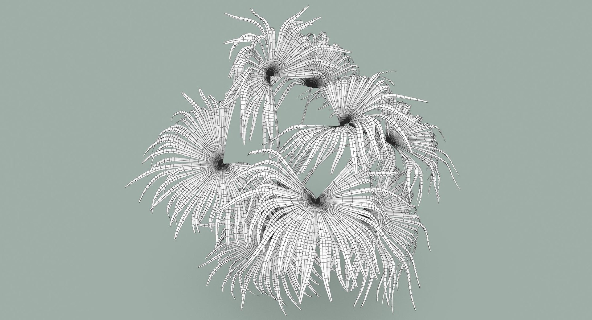 3D chinese fan palm model https://p.turbosquid.com/ts-thumb/rp/pFLwMD/sunMpDNW/chinese_fan_palm_063_wireframe/jpg/1527258778/1920x1080/fit_q87/6e1ce372e438a908a3964c0d93e5f09a32b76f27/chinese_fan_palm_063_wireframe.jpg