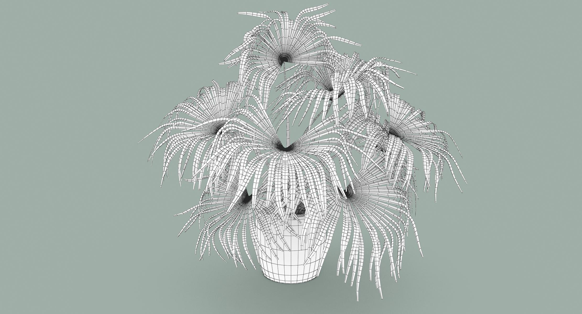 3D chinese fan palm model https://p.turbosquid.com/ts-thumb/rp/pFLwMD/uAagbWAO/chinese_fan_palm_tt3/jpg/1527260229/1920x1080/turn_fit_q99/af2249d8cc2e4ccd72897b46f547b83cb4471352/chinese_fan_palm_tt3-1.jpg
