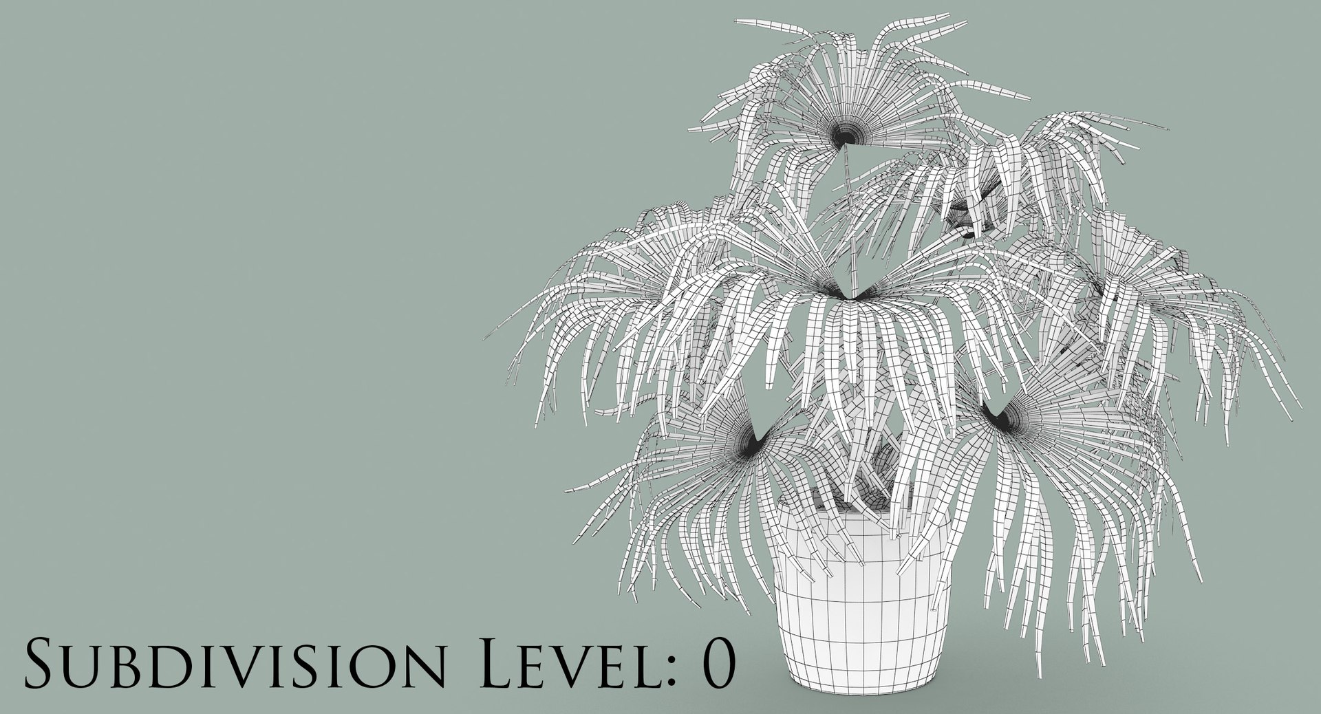 3D chinese fan palm model https://p.turbosquid.com/ts-thumb/rp/pFLwMD/uTQXMncL/chinese_fan_palm_201_subd_0/jpg/1527258778/1920x1080/fit_q87/2b8f765a91c2a3b3036878f13f0f87c75545b1be/chinese_fan_palm_201_subd_0.jpg