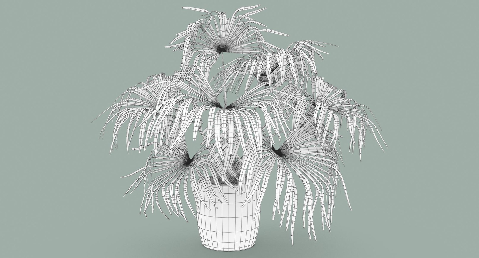 3D chinese fan palm model https://p.turbosquid.com/ts-thumb/rp/pFLwMD/vrtCf582/chinese_fan_palm_003_wireframe/jpg/1527258777/1920x1080/fit_q87/84271b4db60682745626486e6fd5b7a1b6b0f3a3/chinese_fan_palm_003_wireframe.jpg