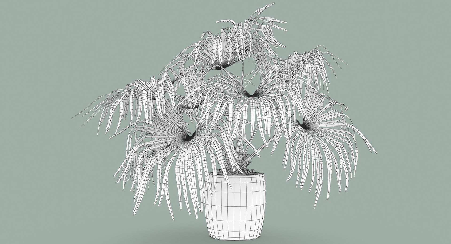 3D chinese fan palm model https://p.turbosquid.com/ts-thumb/rp/pFLwMD/yUaCvS7S/chinese_fan_palm_013_wireframe/jpg/1527258777/1920x1080/fit_q87/7e0686c8e1a0042a15f5b6e9e2fe18e0fb533d68/chinese_fan_palm_013_wireframe.jpg