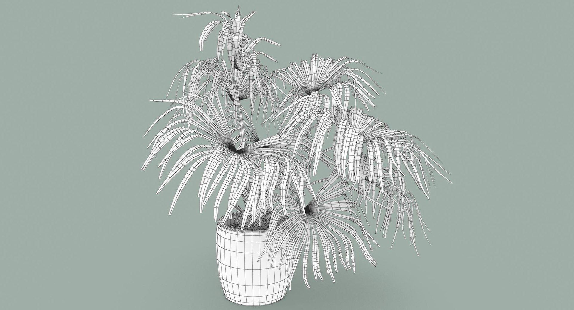 3D chinese fan palm model https://p.turbosquid.com/ts-thumb/rp/pFLwMD/z2koSlEi/chinese_fan_palm_043_wireframe/jpg/1527258777/1920x1080/fit_q87/a278ee3fc28db7f37acaf7775be6baf618726075/chinese_fan_palm_043_wireframe.jpg