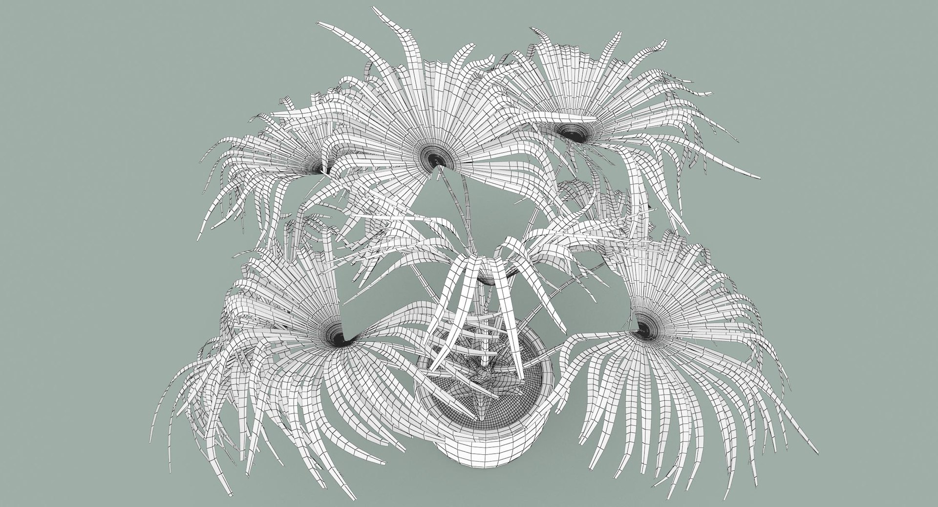 3D chinese fan palm model https://p.turbosquid.com/ts-thumb/rp/pFLwMD/z6pIwc4Z/chinese_fan_palm_083_wireframe/jpg/1527258778/1920x1080/fit_q87/573904cbf269bea8bdf7a5c8bae5e34708bbd4c5/chinese_fan_palm_083_wireframe.jpg
