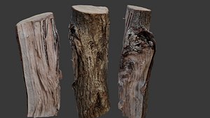 3D Tree Log 3D Scan