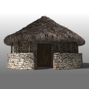 Iron Age House II