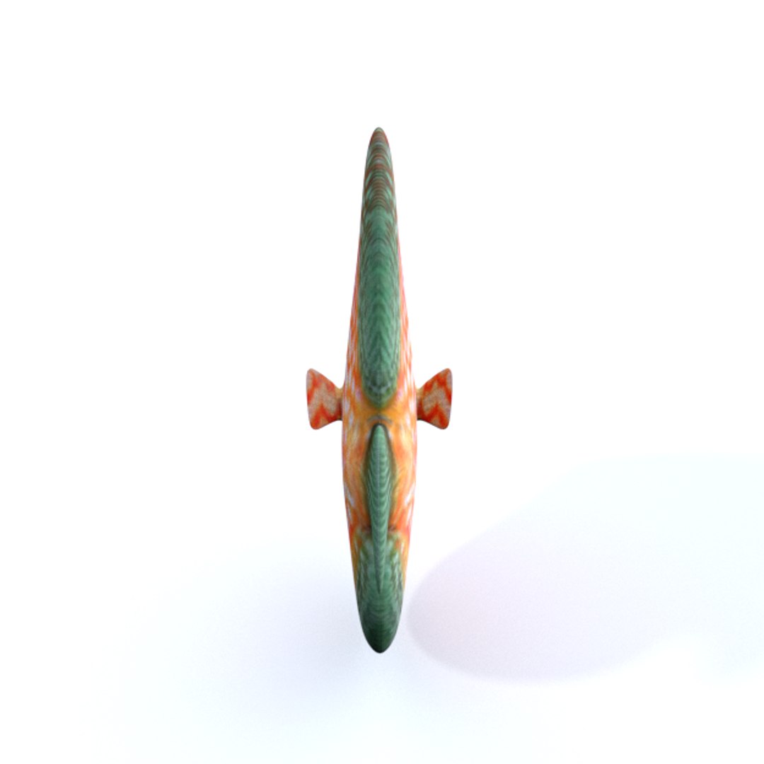 Disco Fish Model - TurboSquid 1316769