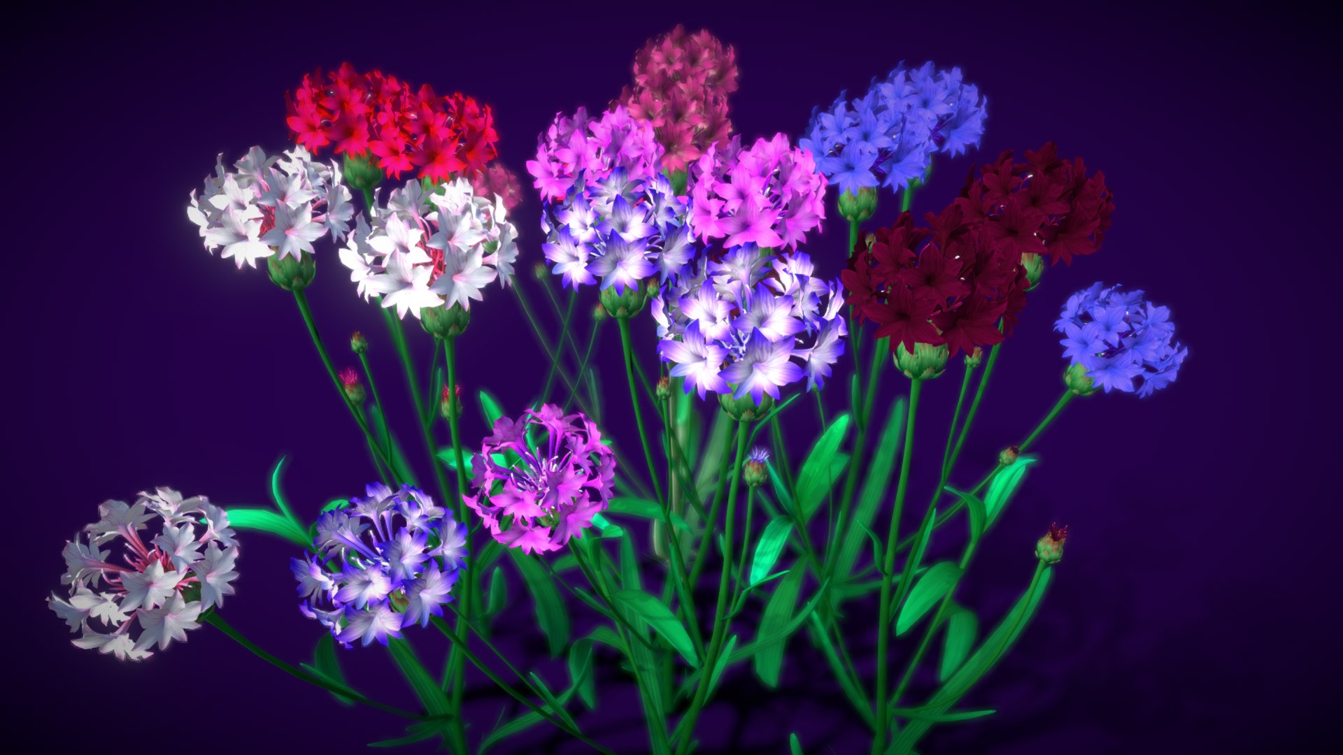 3D Flower Centaurea https://p.turbosquid.com/ts-thumb/rq/4ldc6E/1Z/flower_centaurea_image/png/1696242258/1920x1080/fit_q87/966d927fb8d102ad73088b57779521371ff1ec9e/flower_centaurea_image.jpg