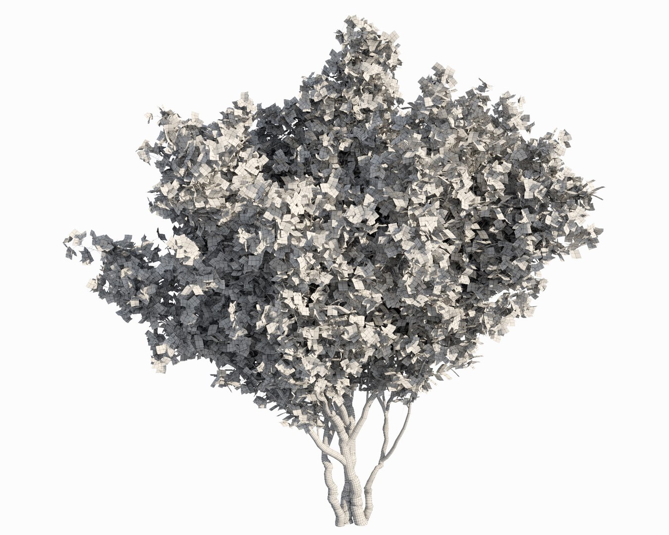 Bougainvillea Trees 3D Model - TurboSquid 1163333