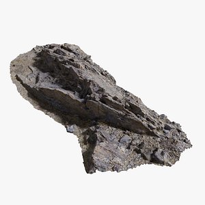 Assembly Ground Rock 14 StemCell 3D model