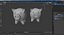 Świnia skarbonki