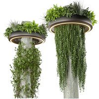 Collection plant vol 532 - bush - ampelous - column - fitowall - ivy
