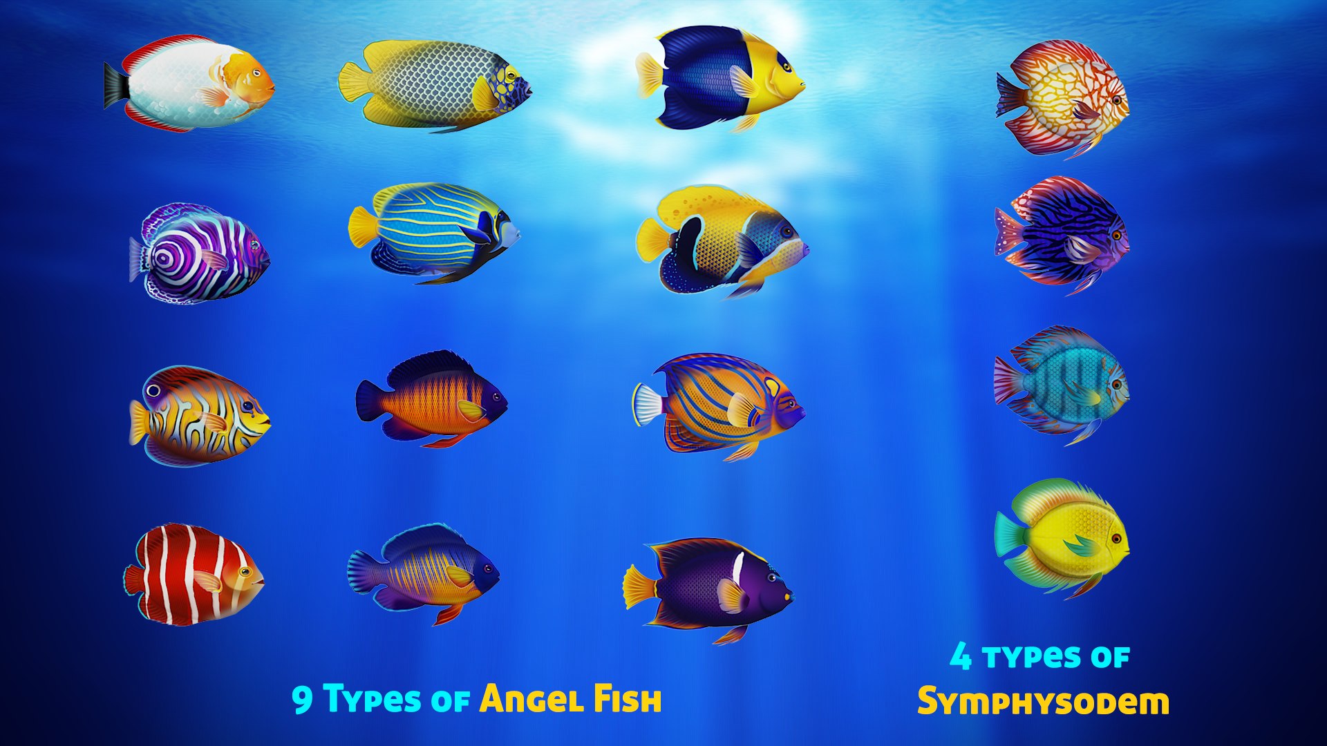 3d Model Of Pack Fishes