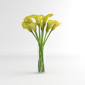 3d calla lily glass model