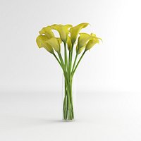 Calla Lily Glass Vase 04