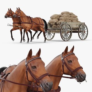 Old Wagon with Sacks