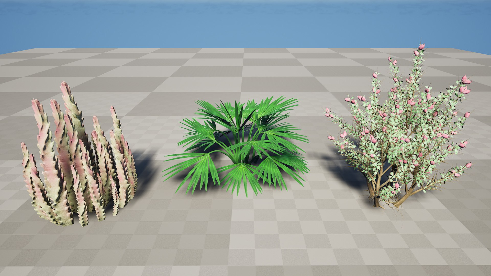 3D Middle Eastern Desert Plants Collection model https://p.turbosquid.com/ts-thumb/rq/i5xlzf/0f/highresscreenshot00001/jpg/1766437264/1920x1080/fit_q87/29428ab71fe18e56a33692c34822885fda5e80ed/highresscreenshot00001.jpg