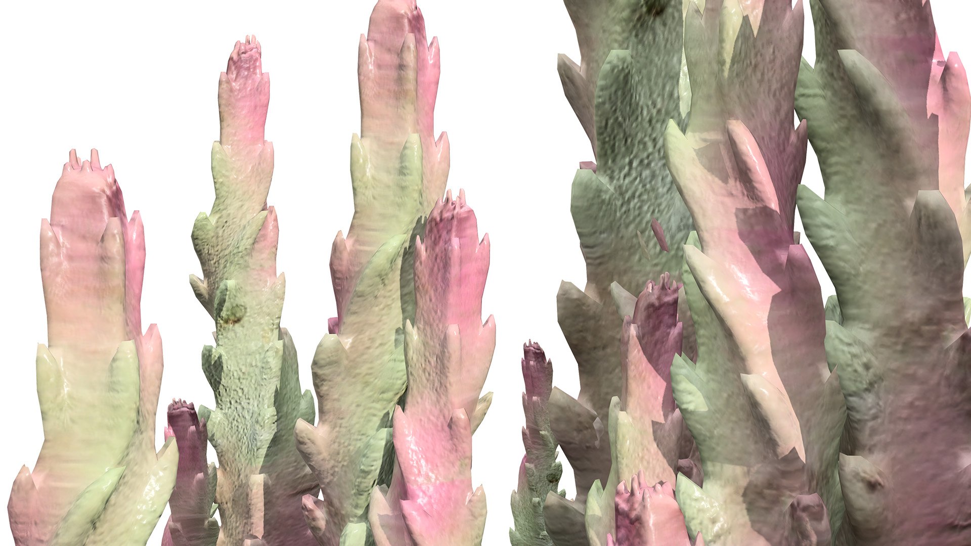 3D Middle Eastern Desert Plants Collection model https://p.turbosquid.com/ts-thumb/rq/i5xlzf/4g/01aravbianendemicsucculentplant_vegetablesz12l/jpg/1766437258/1920x1080/fit_q87/9eb3e00887e53f44009873a21a175e5aedf2b3c2/01aravbianendemicsucculentplant_vegetablesz12l.jpg