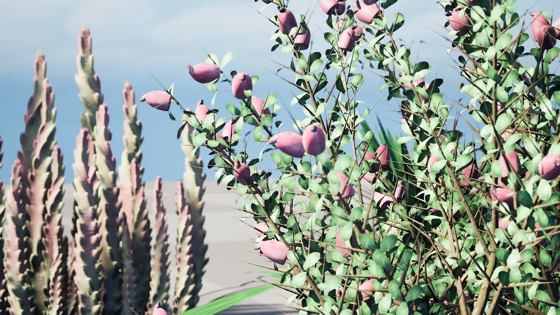 3D Middle Eastern Desert Plants Collection model https://p.turbosquid.com/ts-thumb/rq/i5xlzf/QX/highresscreenshot00002/jpg/1766437264/1920x1080/fit_q87/951d6359fbce9b17f173cbadaa91422f78f307ca/highresscreenshot00002.jpg