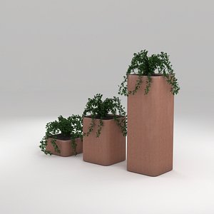 cobe plant terracotta 3d model